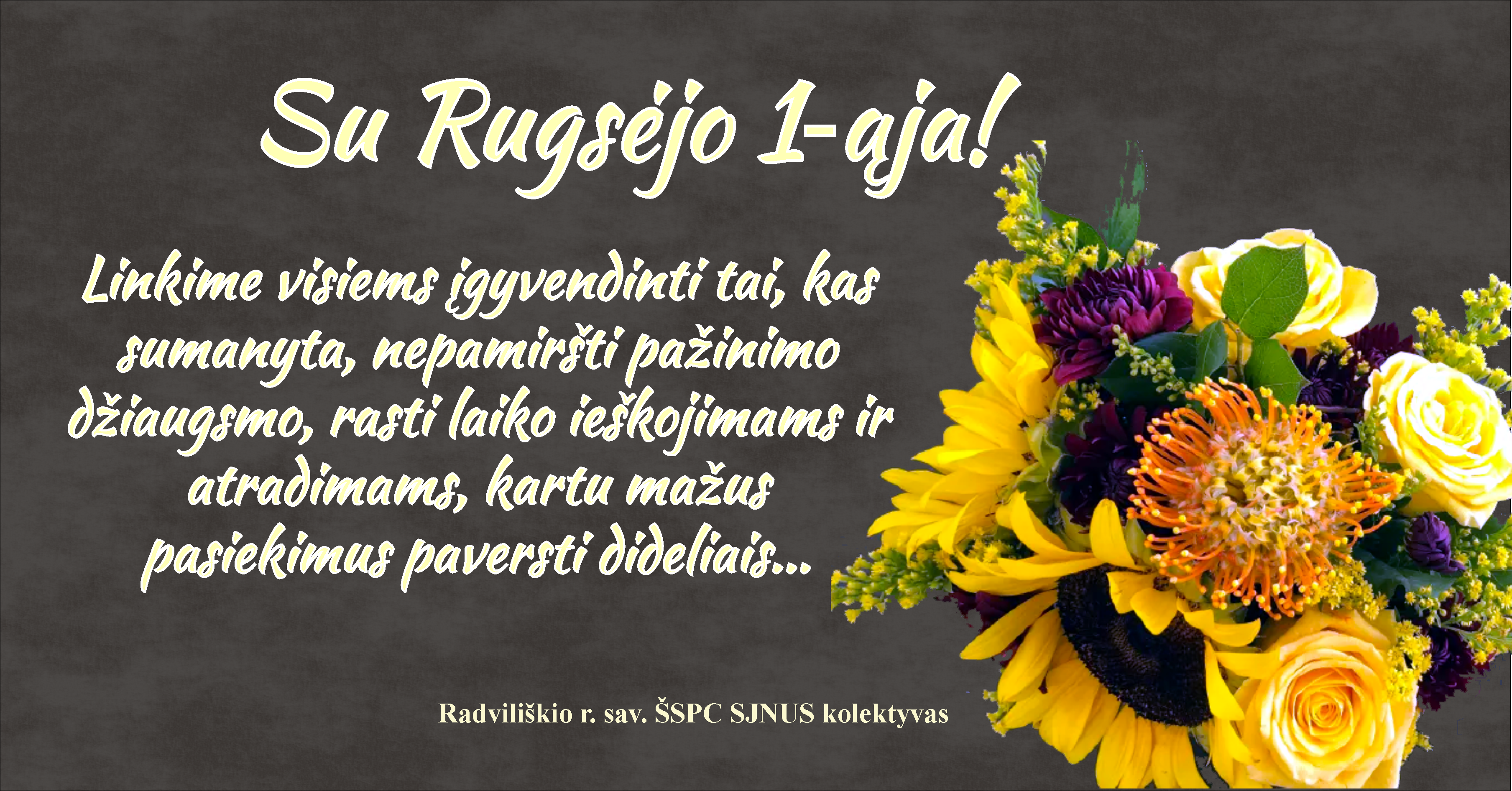 rugsejo 1 2019